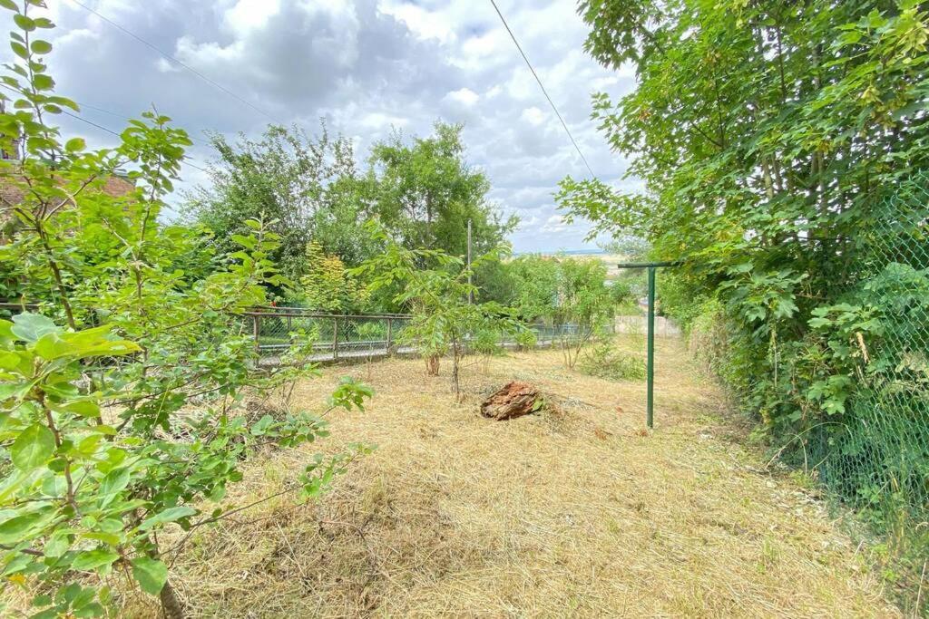 Appartement Rez-de-chaussée Laon Esterno foto
